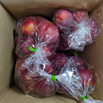 すもも40個入り 2.2kg 果物/すもも・プラム通販