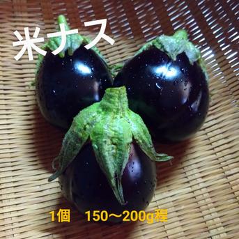 中長ナスと米ナスの食べ比べ 中長ナス5個くらい  米ナス5個くらい 野菜/茄子通販