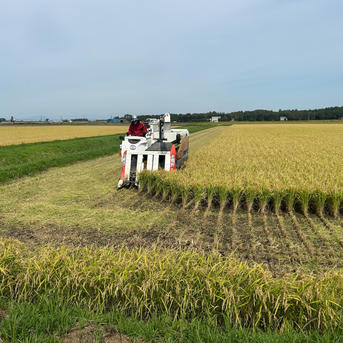 令和7年北海道産 農家直送ななつぼし | 米・穀物/米/精米 産直アウル