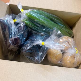 夏野菜3種類セット ｜ 野菜/野菜セット・詰め合わせ 産直アウル 農家