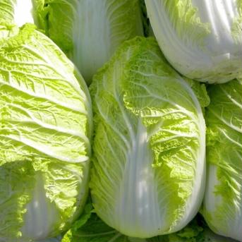 冬野菜詰め合わせセット全4品【100】 6~8kg 野菜/野菜セット・詰め合わせ通販