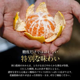老舗農家が見極めたプレミアム【愛媛みかん10kg】愛媛県川上産 贈答用