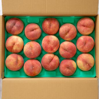 桃　大玉　品種おまかせ　5kg (12～16個)　9月中旬出荷 5kg (12～16個) 果物/もも通販