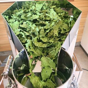 ケール×ビーツ 野菜パウダー 2種お試しセット 30g×2 茨城県産（栽培