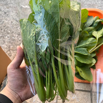 小松菜ときゅうりの詰め合わせセット小松菜300g.きゅうり1kg 小松菜300g.きゅうり1kg 野菜/野菜セット・詰め合わせ通販
