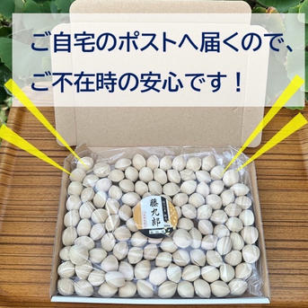 少人数向け！お試し容量】祖父江産銀杏 藤九郎300g ｜ 野菜/その他