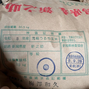 数量限定】令和8年産 新之助 5キロ ｜ 米・穀物/米/精米 産直アウル