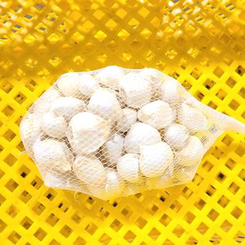 ニンニク 5kg 【農薬・化学肥料不使用】北海道産　訳あり　ニューホワイト六片 濃厚で甘い！大粒福地ホワイト六片にんにく 5kg（農薬・化学肥料