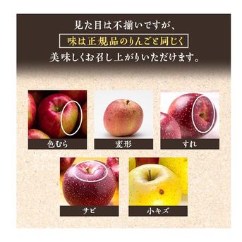 青森りんご 大人気 糖度13%以上 希少コラボ 鮮度良し！！果汁タップリ