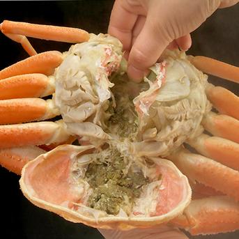 訳活オオズワイ（中小）4ｋｇ詰（約16-30尾）【アウルの日】 4ｋｇ（約16-30尾） 魚介類/カニ通販
