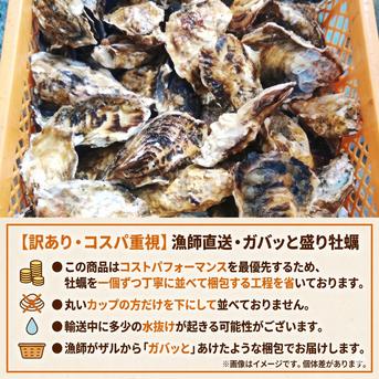 牡蠣10kg‼︎生食可能‼︎ 生食用牡蠣10kg 松島牡蠣屋 生食可能な殻付き牡蠣 生牡蠣 牡蛎