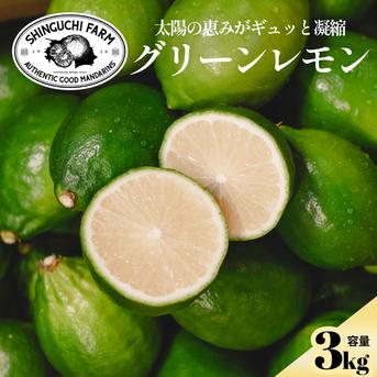 皮まで食べられる】グリーンレモン 3kg 防腐剤・ワックス不使用 （家庭
