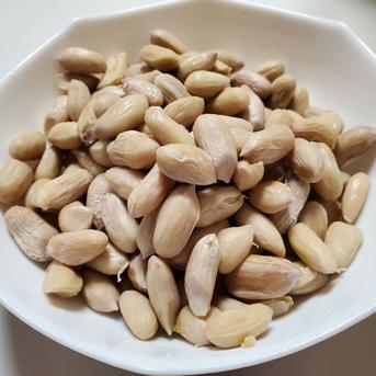 【数量限定·期間限定】くりやまサンちのおおまさり1kg 1kg 野菜/豆類通販