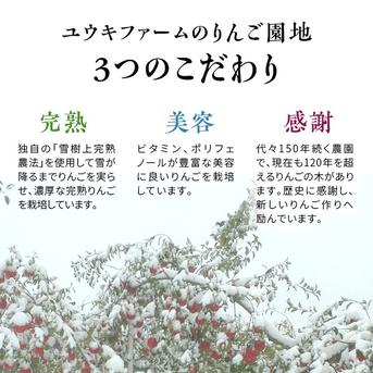 青森県産りんご  完熟  自然葉とらずサンふじ5kg 家庭用 さんふじ約５kg 果物/りんご通販