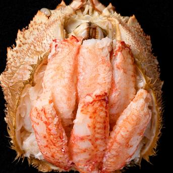 毛ガニ甲羅盛（小）約120ｇ×10個【カニみそ入り】 約120ｇ×10個 魚介類/カニ通販