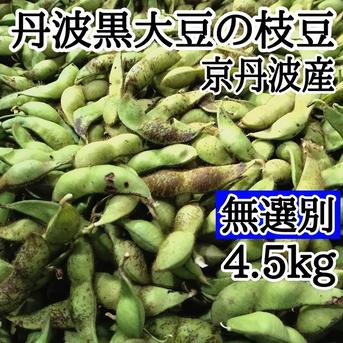 ①10月14～17日発送【訳アリ】 4.5kg 無選別 黒豆の枝豆 京丹波産 黒 
