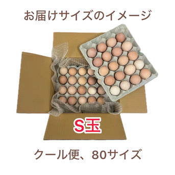 コスパ最強🏆平飼い名古屋コーチンの卵【王様のたまご】Sサイズ40個
