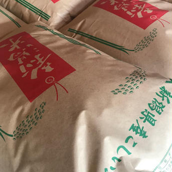 新潟県産コシヒカリ100% 10kg（5kg×2袋） 10kg（5kg×2袋）　 米・穀物/米/精米通販