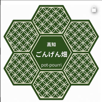 高知県産 朝採れ直送新生姜 6キロ ｜ 野菜/薬味 産直アウル 農家・漁師