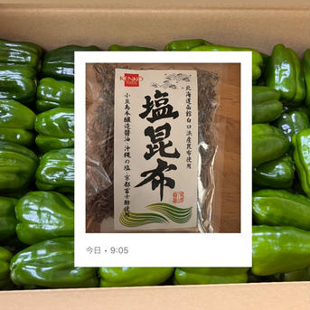 有機ピーマン サイズ混合 3kg 有機JAS (鹿児島県 SOHファーム) 産地直送&北海道産塩昆布 ピーマン3kg 塩昆布35g 野菜/ピーマン通販
