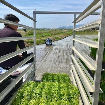 湖国のコシヒカリ＋小豆 コシヒカリ白米5㌔＋小豆1㌔ 米・穀物/米/精米通販