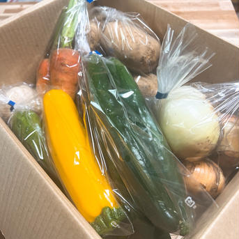 旬の夏野菜セット・個包装【常温便】 80サイズ【5~7品目】 野菜/野菜セット・詰め合わせ通販