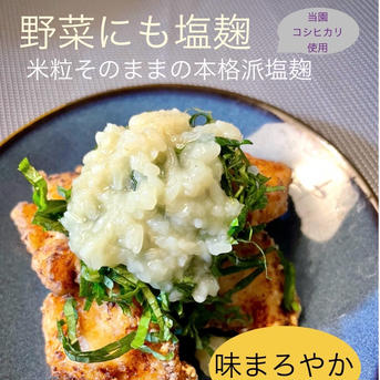 新発売☆ないとうさん家の野菜にも塩麹 野菜にも塩麹　3個 調味料/その他調味料通販