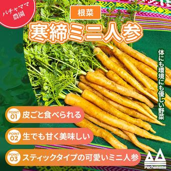 愛情たっぷり育てた寒締め葉つきミニ人参2100gパチャママ農園 ｜ 野菜