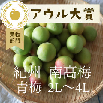 7kg】青梅 南高梅 ｜ 果物/青梅 産直アウル 農家・漁師など生産者から 