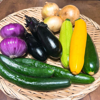 旬祭限定】夏野菜セット2026 ｜ 野菜/野菜セット・詰め合わせ 産直