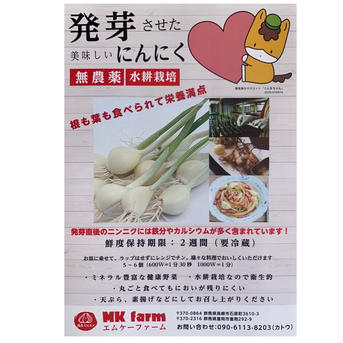 満点にんにく（発芽にんにく） 60g〜70g×5袋 野菜/にんにく通販