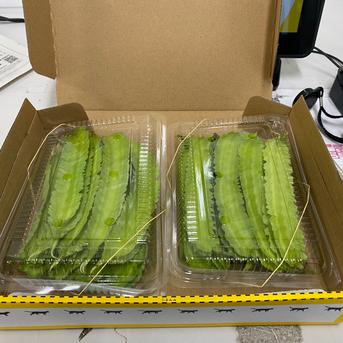 沖縄県産　うりずん豆　四角豆　100g×2パック 200g 野菜/豆類通販