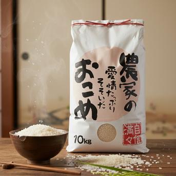 新米コシヒカリ【10kg】【令和7年度産】千葉県南房総市産 ｜ 米