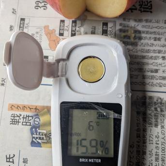 【熟成進むサンふじ！】約3キロ13個入　年明けリンゴは秋田県横手市産！秀品　ご家庭用 約3キロ　小玉Sサイズ　1個200g前後　13個入 果物/りんご通販