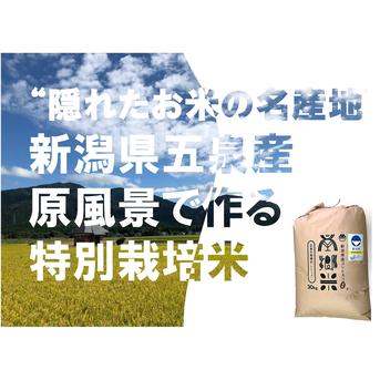 令和６年産新米！＊特別栽培米''隠れたお米の名産地''新潟県五泉産コシヒカリ100%「南郷米」玄米30kg 30kg 米・穀物/玄米通販