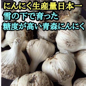 訳あり・土付き芽あり】青森にんにく白玉王（中小玉）1kg | 野菜