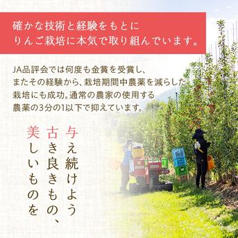 りんご【おぜの紅】訳あり約5kg 2026年度予約受付中 香り豊かな初秋の