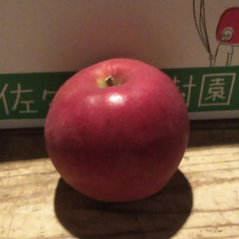 旬のりんご詰め合わせ【3kg箱】 約2.7~3.3kg(8~10玉) 果物/りんご通販