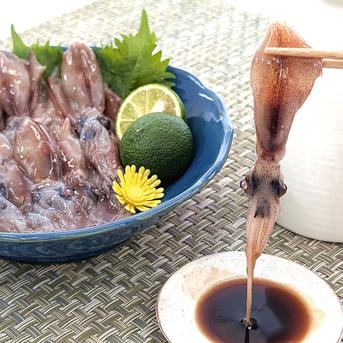 刺身用 生ほたるいか 生食可（冷凍・真空パック）約150g×30パック