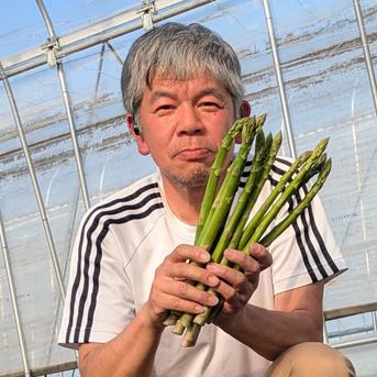 レア　希少　アスパラガス　斑入り うえの農園の朝採りグリーンアスパラガス サイズ：L 1kg ｜ 野菜