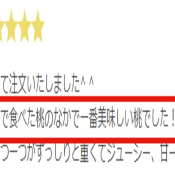 🍑贈答用ブランド極上朝採れ桃🍑【8月上旬】わずか5%しか収穫されない糖度16度以上を誇る一流レストラン御用達ワンランク上の濃厚な甘さ 贈答ワンランク上約1.5kg 果物/もも通販
