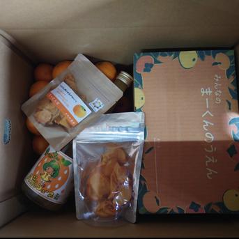 まーくん家のクリスマスBOX 100サイズ 100サイズ 果物/果物セット・詰め合わせ通販