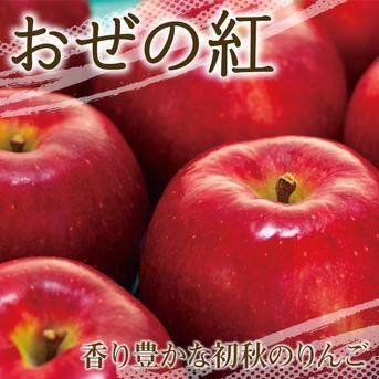 りんご【おぜの紅】訳あり約3kg 2026年度予約受付中 香り豊かな初秋の