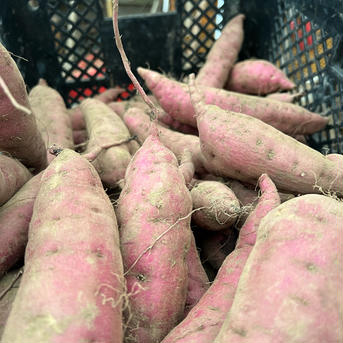 【数量限定】2025年品評会受賞 べにはるか ほしいも 5kg 干し芋 訳あり ほしいも品評会6連続受賞!『幸ちゃん干し芋』紅はるか800g(平干