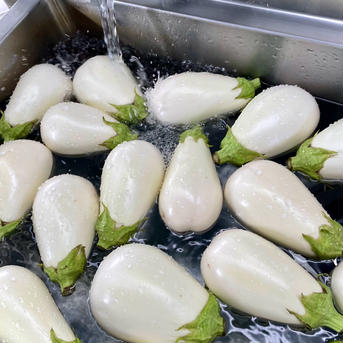 湖国の旬☆とろ〜り旨ナス 白茄子5〜7本 野菜/茄子通販