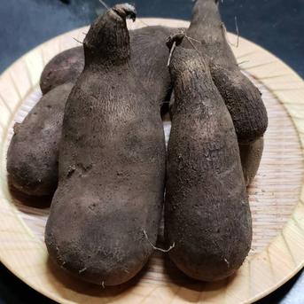 希少性が高い紫つくね芋♪ 2kg 2kg(2~3本) 野菜/長いも・山いも通販