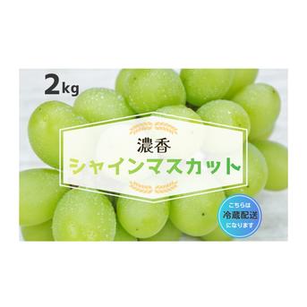 13売り切りセール！クール便込み○贈答用○シャインマスカット　５ｋｇ以上入ります おまとめお買い得！クール便山梨県産シャインマスカット5k✖︎2