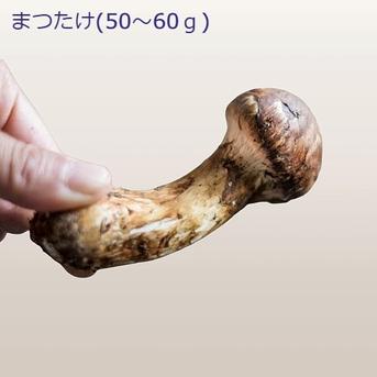 【国産天然松茸】100ｇ前後(90~120g)  山形産 秋はきのこ、きのこはまつたけ 100ｇ(90~120g)  野菜/きのこ通販