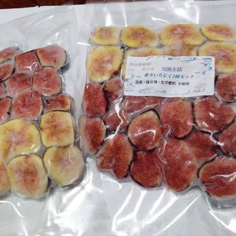 完熟冷凍いちじく希少2種セット【農薬・除草剤・化学肥料・添加物不