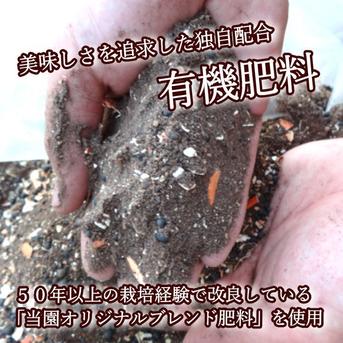 【バラ詰め】さっぱりとした甘さ！グリーンハウスみかん「蜜ツ星（みつぼし）」　お試し品　約２ｋｇ【商品番号36】 2kg 果物/温州みかん通販